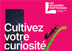 Vignette illustrant cette actualité