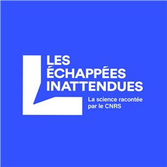 Vignette illustrant cette actualité