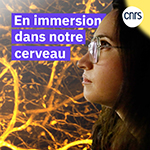 Vignette illustrant cette actualité