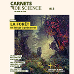 Vignette illustrant cette actualité