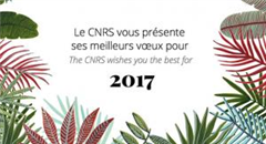 Image illustrant cette actualité